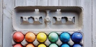 Co zrobić z jajkiem gołębia?