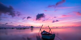 Co oznacza kolor woskowiny w uszach?