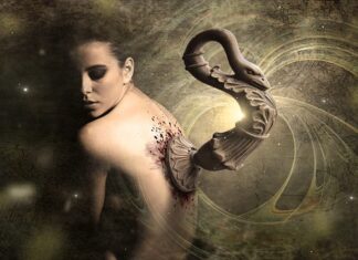 Kiedy implant fretka?