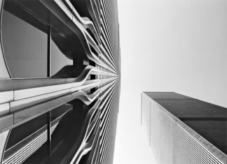 Jakie zioła na ataki paniki?