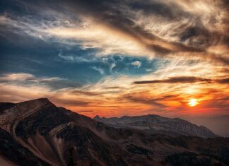 Do której godziny można pić kawę?