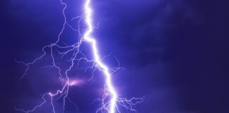 Co decyduje o siłę mięśni?