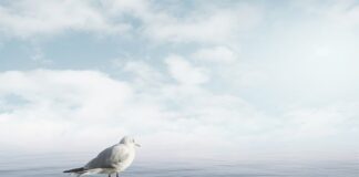 Jak się uspokoić bez leków?