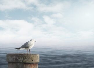 Jak się uspokoić bez leków?