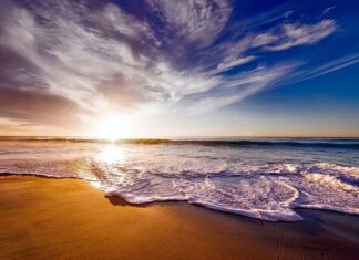 Czy picie kawy zakwasza organizm?