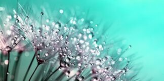 Jakie krople do oczu na suche oko?