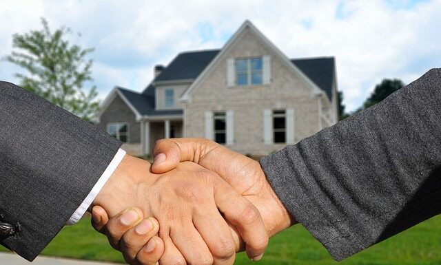 Gdzie kupić kawę do palenia?