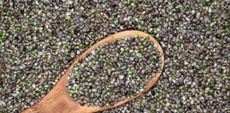 Czy produkty z konopi są zdrowe?