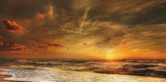 Co to jest złoty róg?