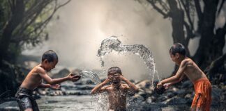 Czy można kąpać fretkę?