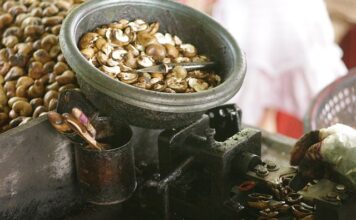 Jak pozbyć się gnid z długich włosów?