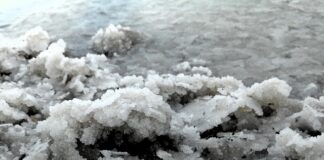 Co najbardziej wypłukuje magnez z organizmu?